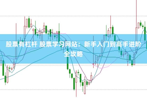 股票有杠杆 股票学习网站：新手入门到高手进阶全攻略