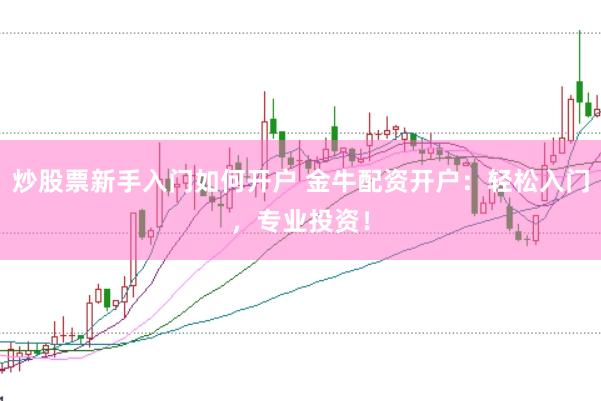 炒股票新手入门如何开户 金牛配资开户：轻松入门，专业投资！