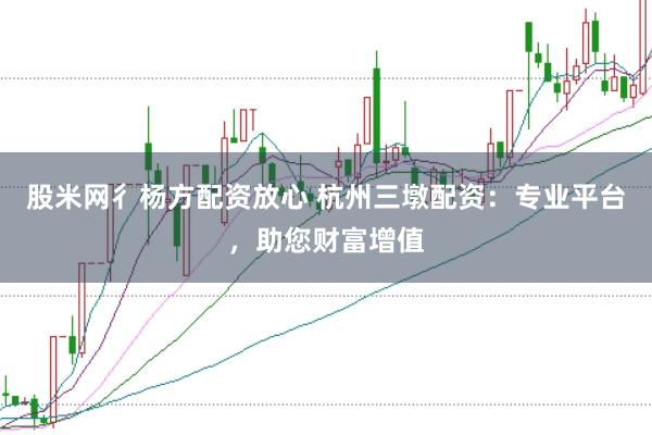 股米网彳杨方配资放心 杭州三墩配资:专业平台,助您财富增值