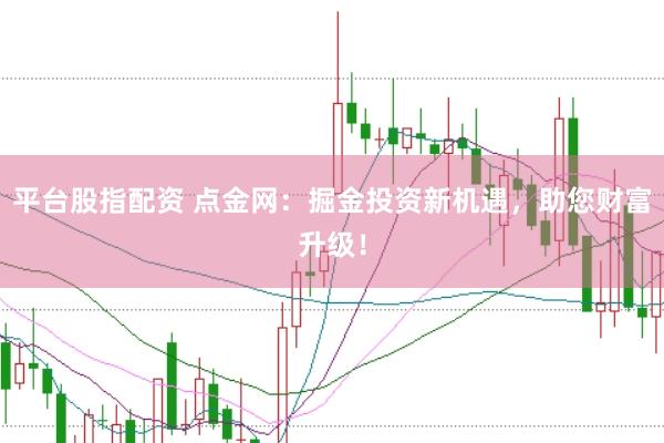平台股指配资 点金网：掘金投资新机遇，助您财富升级！