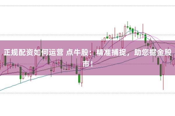 正规配资如何运营 点牛股:精准捕捉,助您掘金股市!