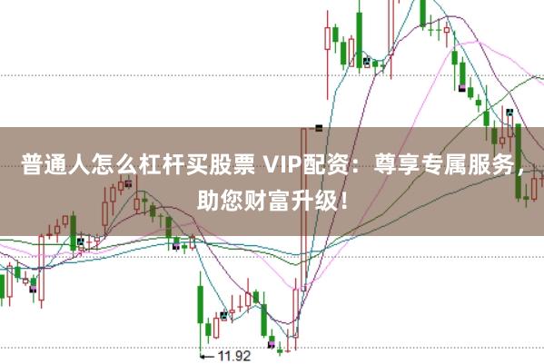 普通人怎么杠杆买股票 VIP配资：尊享专属服务，助您财富升级！