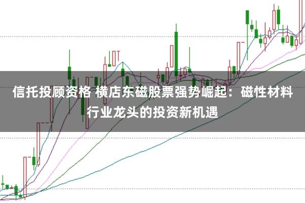 信托投顾资格 横店东磁股票强势崛起:磁性材料行业龙头的投资新机遇