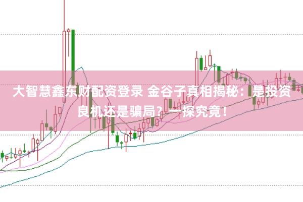 大智慧鑫东财配资登录 金谷子真相揭秘：是投资良机还是骗局？一探究竟！