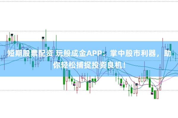 短期股票配资 玩股成金APP：掌中股市利器，助你轻松捕捉投资良机！