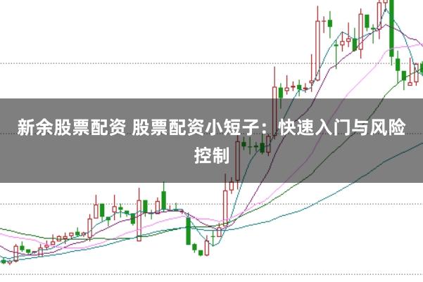 新余股票配资 股票配资小短子：快速入门与风险控制